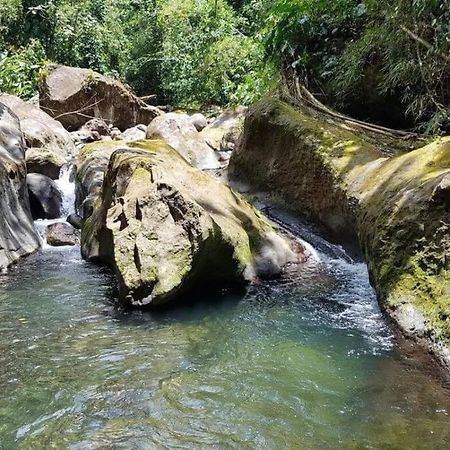 Maison La Voute Plage A 50M Et Riviere A Proximite Vieux-Habitants Exteriör bild