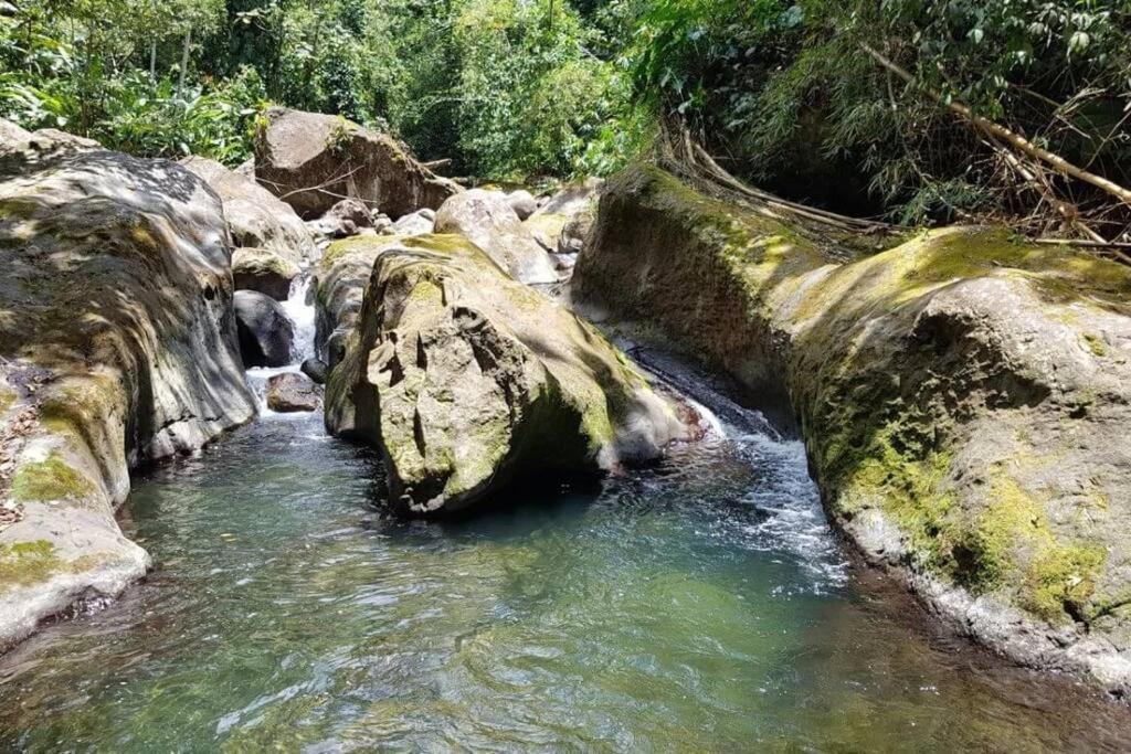 Maison La Voute Plage A 50M Et Riviere A Proximite Vieux-Habitants Exteriör bild